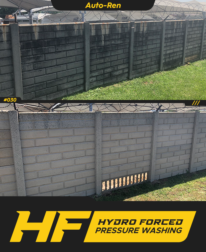 Auto Ren Project View 1