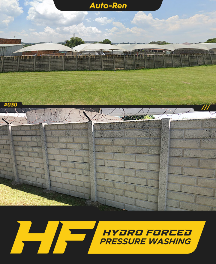 Auto Ren Project View 2